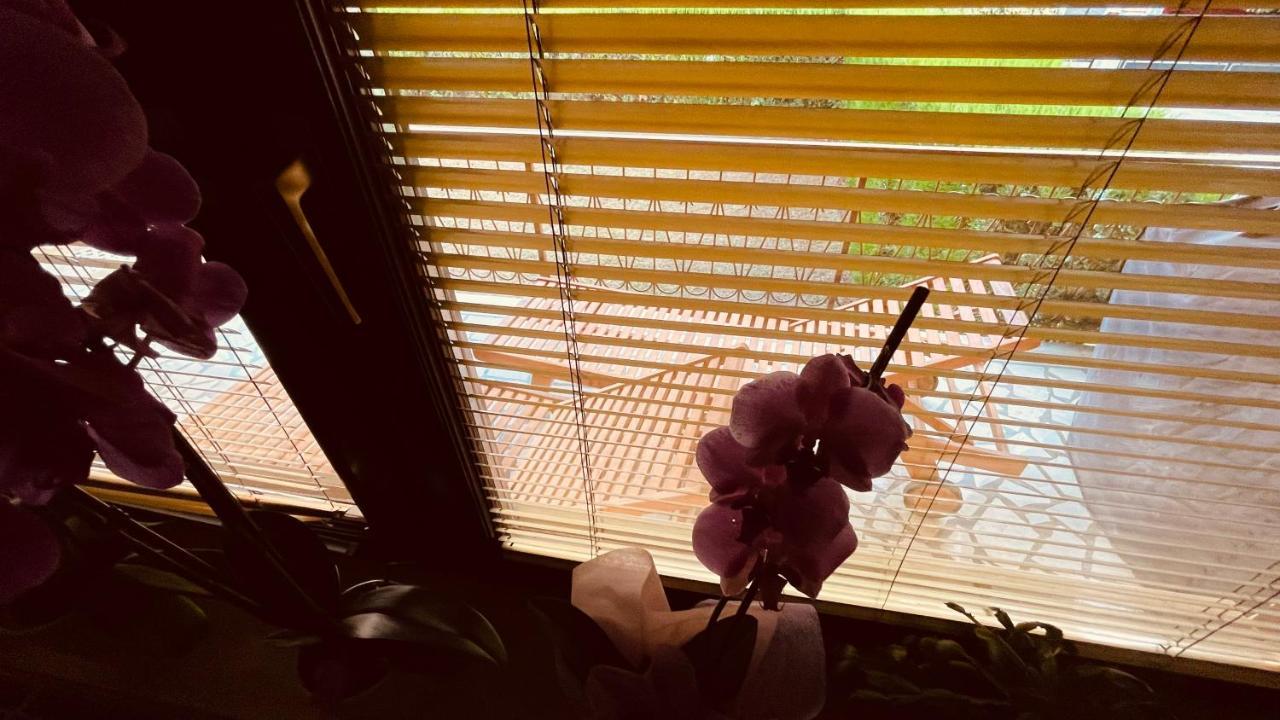 ロヴィニThe Secret Orchidアパートメント エクステリア 写真